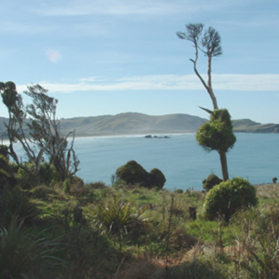 Surat Bay from Owaka Heads